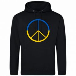 Худі чоловічі