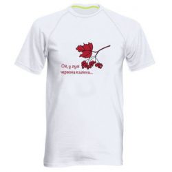 Чоловічі спортивні футболки