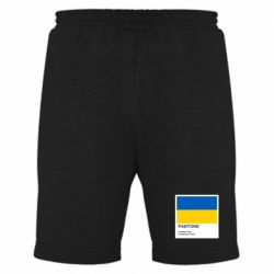 Мужские шорты
