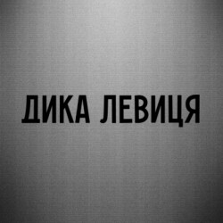 Автомобильные наклейки - FATLINE