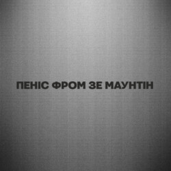 Автомобільні наклейки - FATLINE