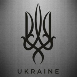 Автомобільні наклейки - FATLINE
