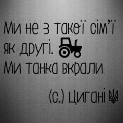 Автомобільні наклейки - FATLINE