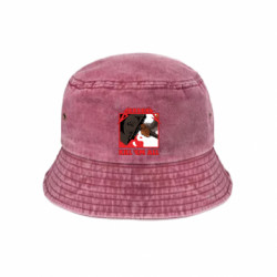 Панами тай-дай