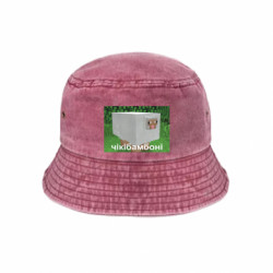 Панами тай-дай