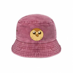 Панами тай-дай