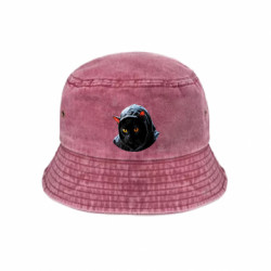 Панами тай-дай