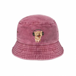 Панами тай-дай