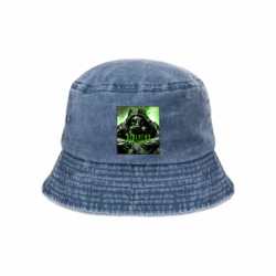 Панами тай-дай