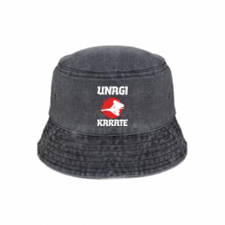 Панами тай-дай