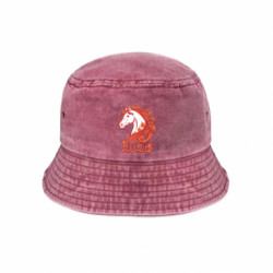 Панами тай-дай