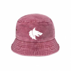 Панами тай-дай