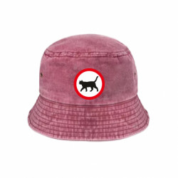 Панами тай-дай