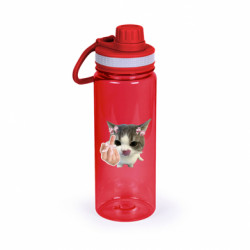 Бутылки для воды Active