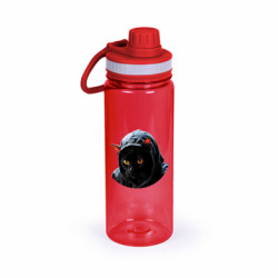 Пляшки для води Active