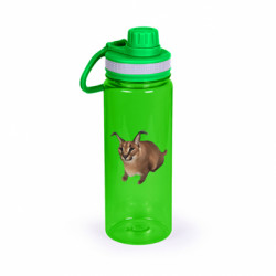 Бутылки для воды Active