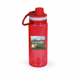 Бутылка для воды Active Вівця: де я нах*й. Донецьк