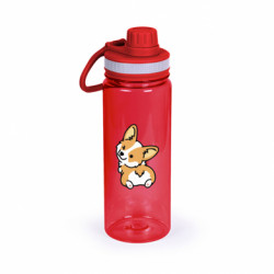 Пляшки для води Active