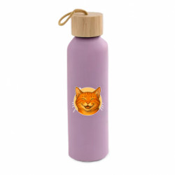 Бутылки для воды Bamboo