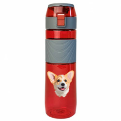 Бутылки для воды Ego