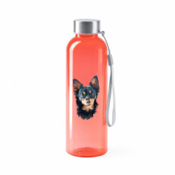 Бутылки для воды Valsan