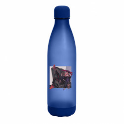 Бутылки для воды Veneto