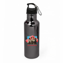 Пляшки металеві Aurum