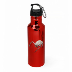 Бутылки металлические Aurum