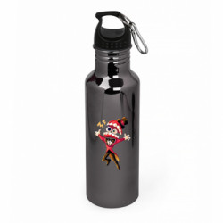 Бутылки металлические Aurum