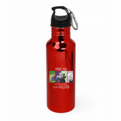 Бутылки металлические Aurum