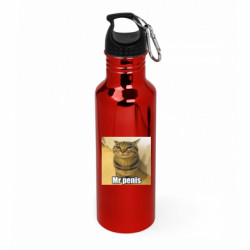 Бутылка металлическая Aurum Mr penis meme