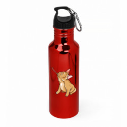 Бутылки металлические Aurum