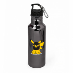 Пляшки металеві Aurum