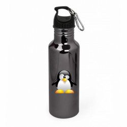 Бутылки металлические Aurum