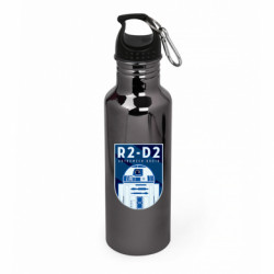 Бутылки металлические Aurum