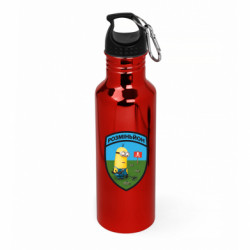 Бутылки металлические Aurum