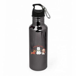 Пляшки металеві Aurum