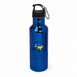 Бутылки металлические Aurum