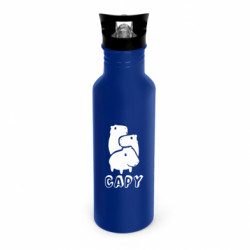 Бутылки металлические Dynamic