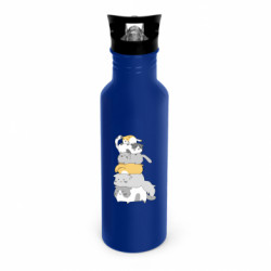 Пляшки металеві Dynamic