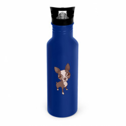 Бутылки металлические Dynamic