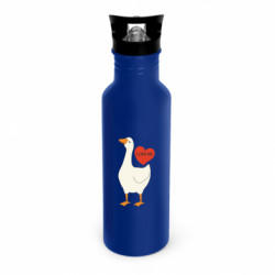 Бутылки металлические Dynamic