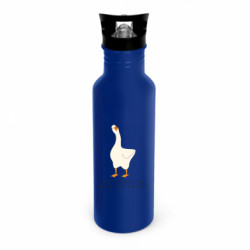 Бутылки металлические Dynamic