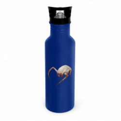 Бутылки металлические Dynamic