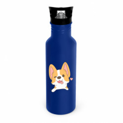 Бутылки металлические Dynamic