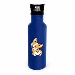 Пляшки металеві Dynamic