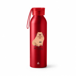 Бутылки металлические Jumbo