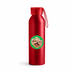 Бутылки металлические Jumbo