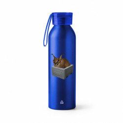 Бутылки металлические Jumbo