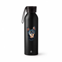 Бутылки металлические Jumbo